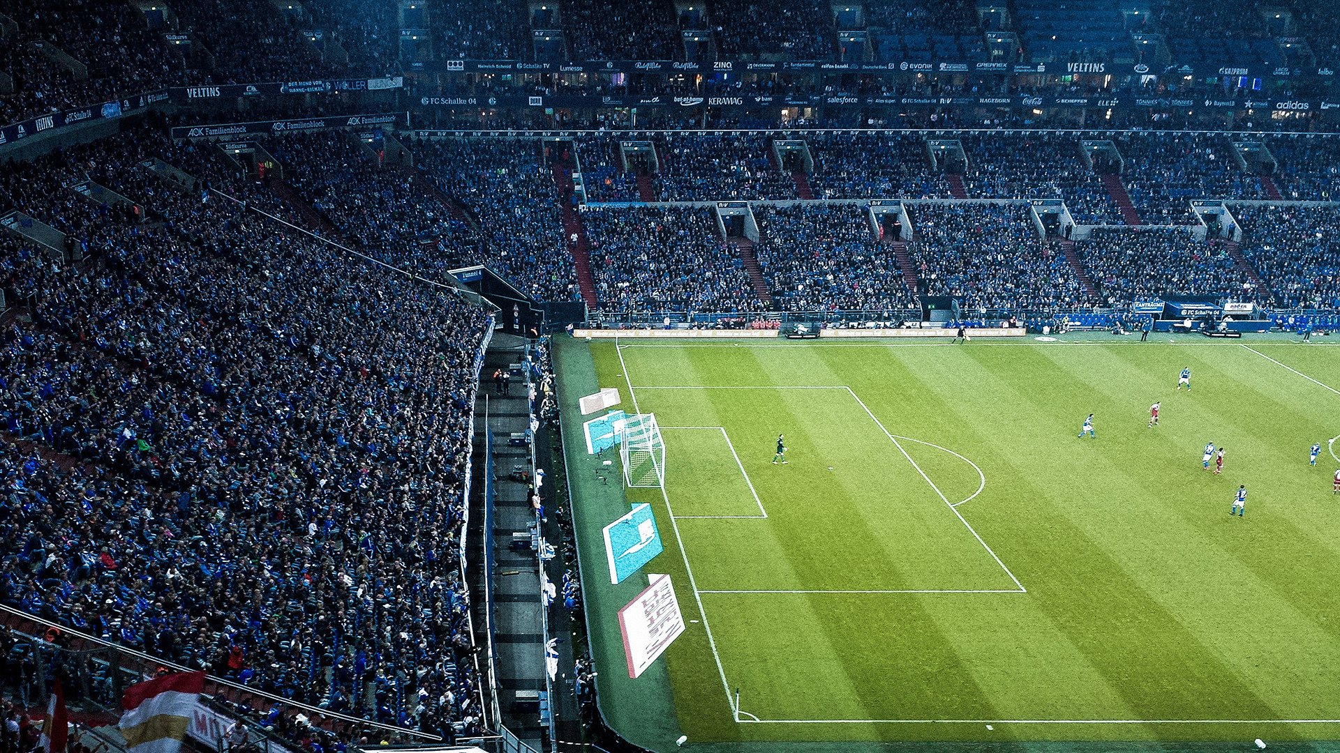 维尼修斯有什么影响再成焦点的简单介绍