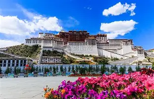 官方:莫兰特球队14人名单全的简单介绍 官方:莫兰特球队14人名单全的简单介绍