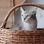 独家:郑钦文将于8月16日打(2024年8月16日郑钦文今天比赛直播) 独家:郑钦文将于8月16日打(2024年8月16日郑钦文今天比赛直播)
